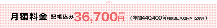 記帳込みで月額36,700円(年間440,400円)税別