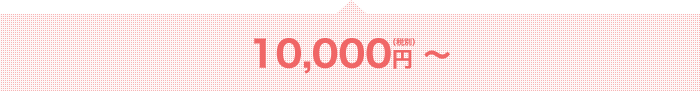 10,000円（税別）～