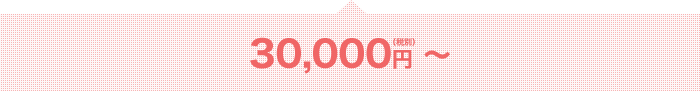 料金 30,000円（税別）～