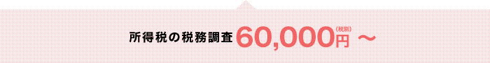 所得税の税務調査60,000円（税別）～