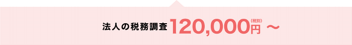 法人の税務調査120,000円（税別）～